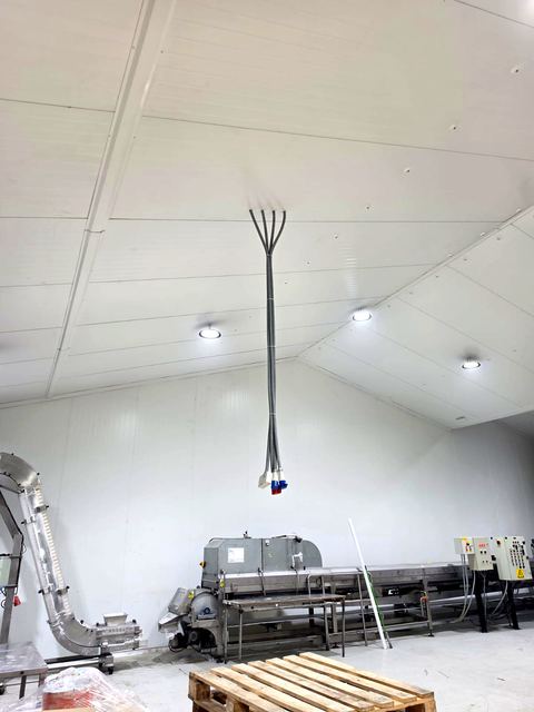 Alimentación e iluminación en sala de envasado